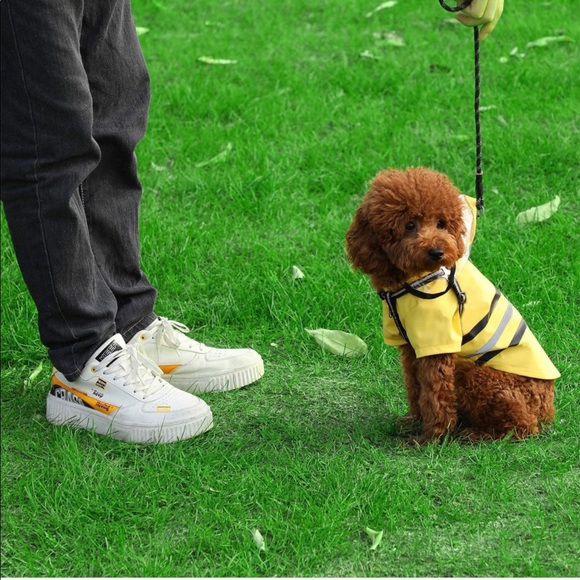 Perfect raincoat for your pup! Size small - Picture 3 of 7